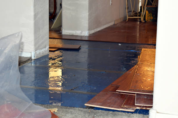 Professional Flood Cleanup technician working in Ducor, CA